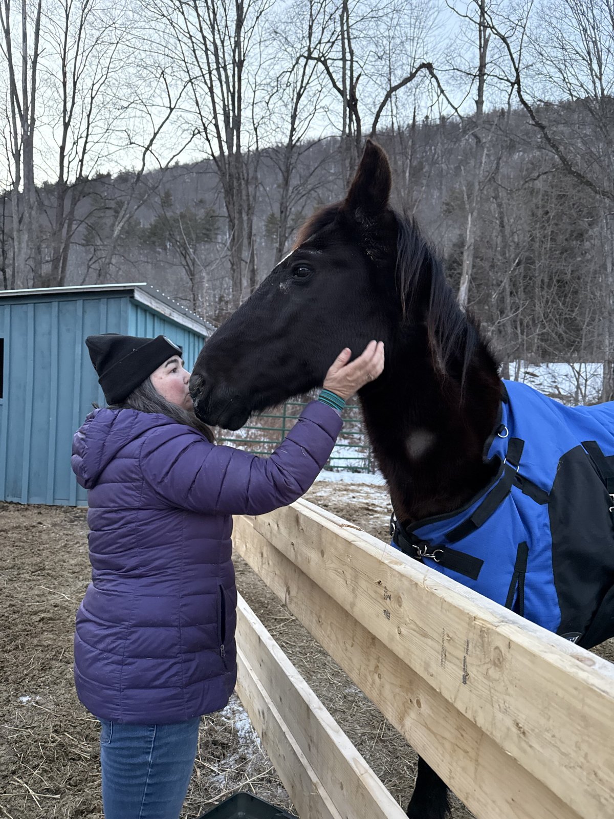 Fergus Mustang Rescue Photo