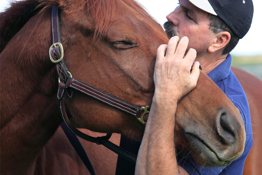 Unlock your horse’s full potential: