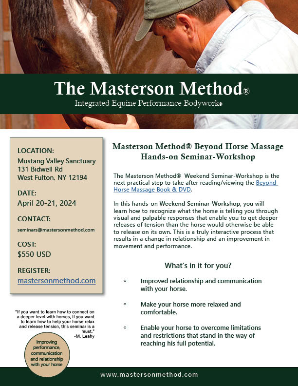 Masterson Body Massage poster