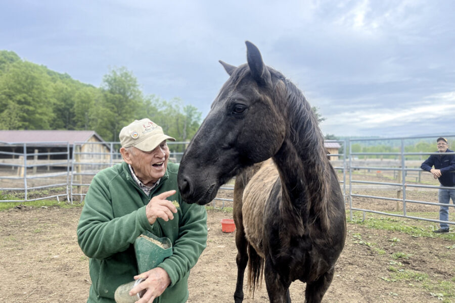 Healing Hooves: Veterans Find Solace at Mustang Valley Sanctuary