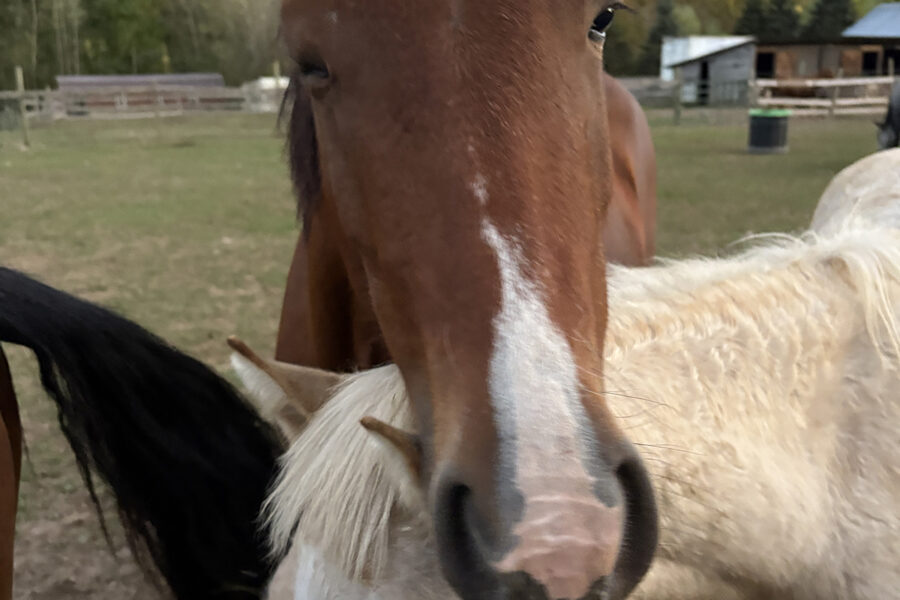 Rosie: A young mama with a fierce will to live—and love.