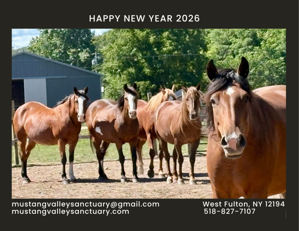 Mary reviesd 2026 Calendar in process 2026 MVS Calendar - click to get