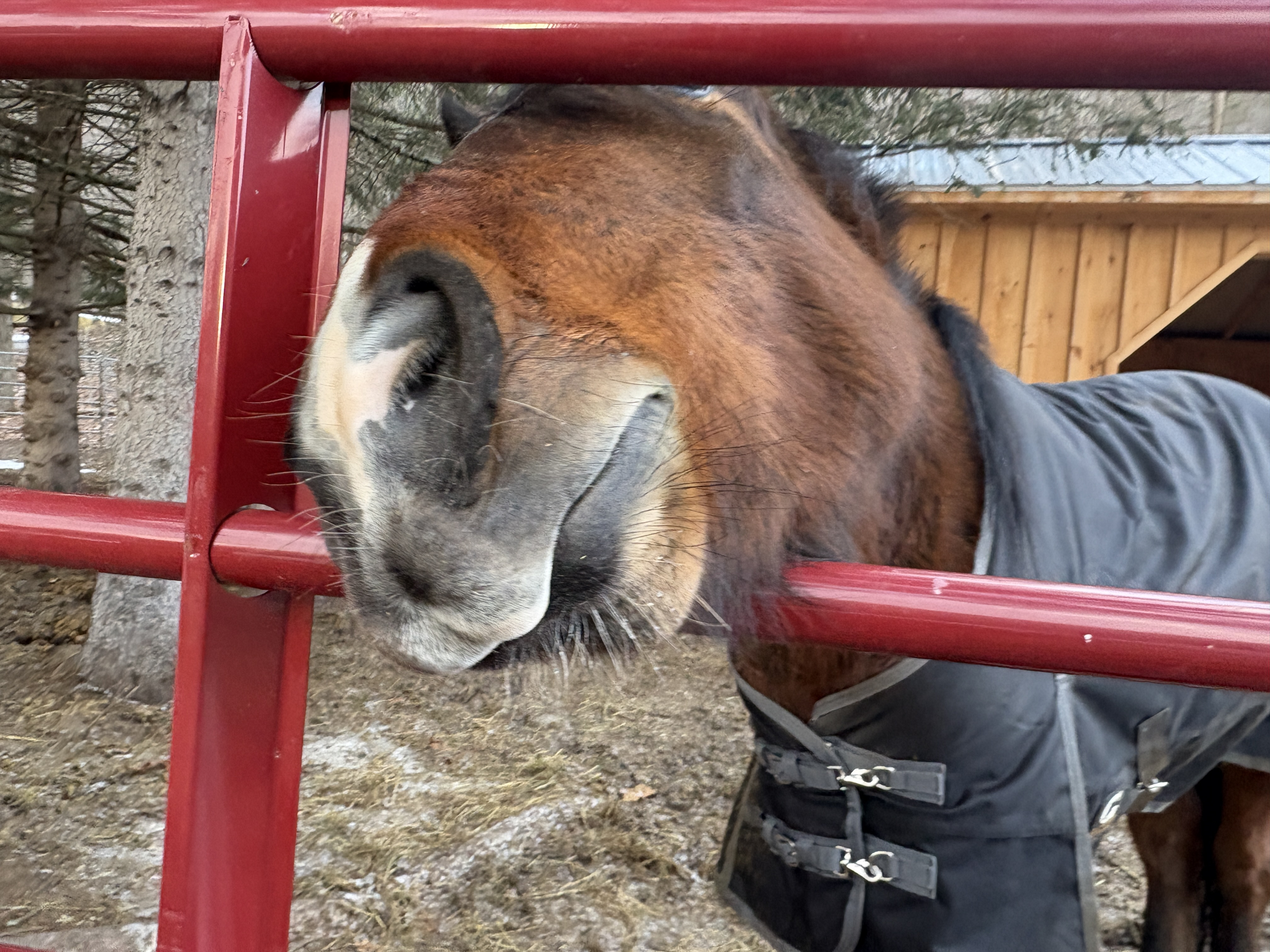 monty-02 Photo of Monty