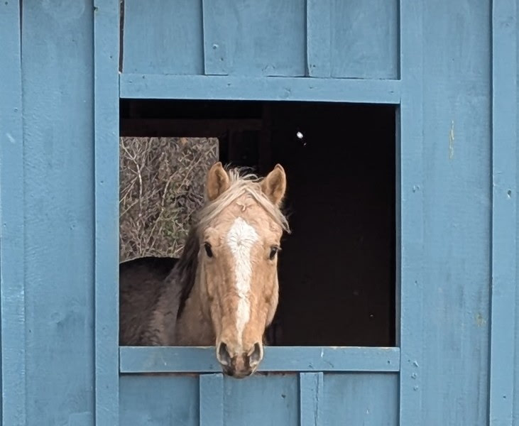 sunbeam Photo of Sunbeam