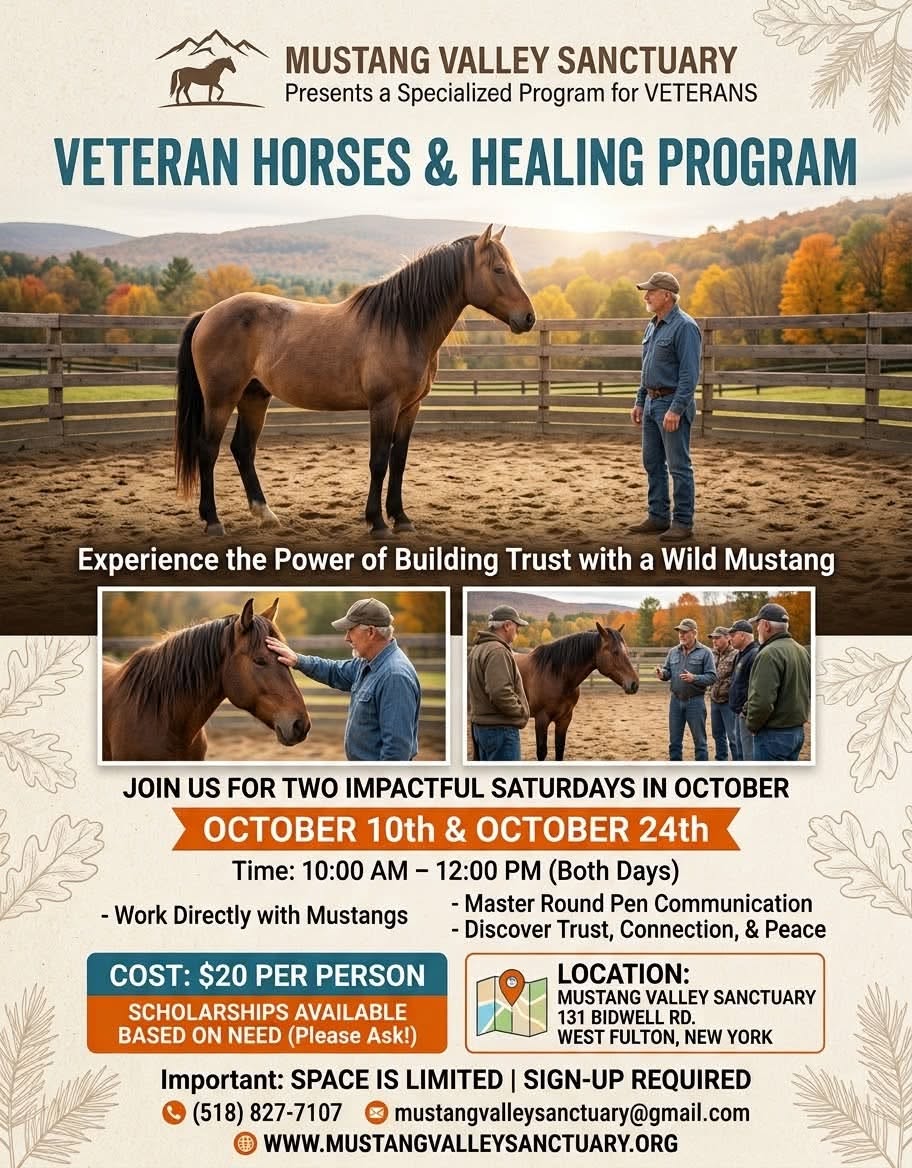 vetrans- horses-heling Poster of Our Veterans Horse healing Event to take place October 10th and 24th 2026